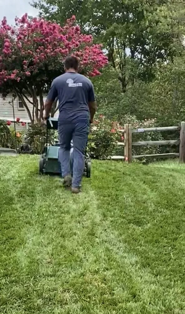 Expert landscape design with custom design across Herndon, VA - Moises & sons