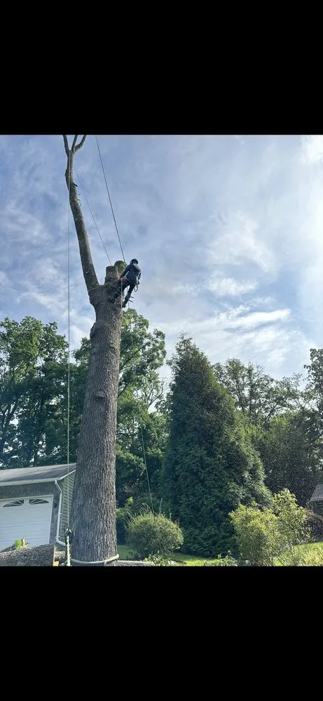 Professional landscape installation in Herndon, VA by Moises & sons