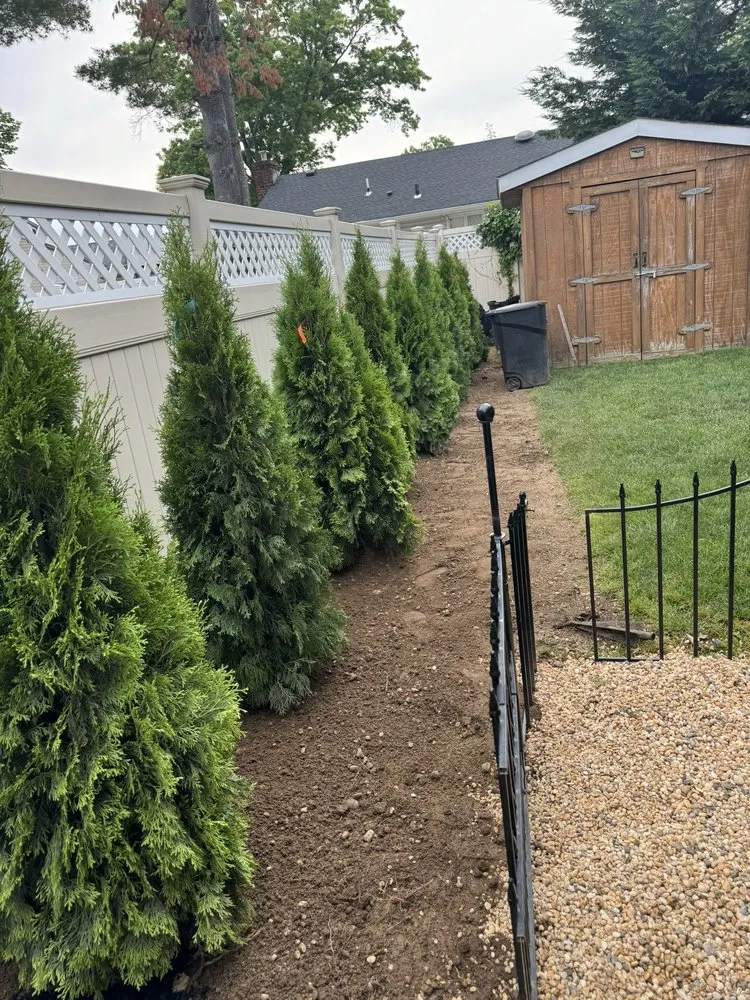 Reliable yard maintenance in Lynbrook, NY by Moises Amaya Landscaping