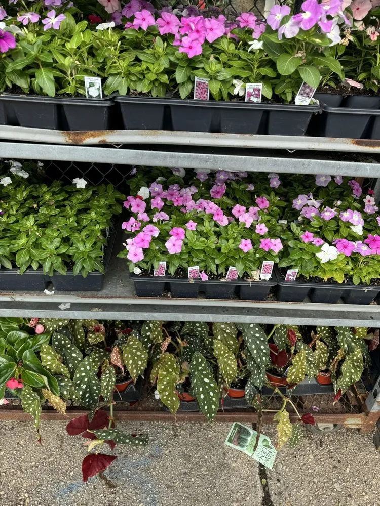 Expert outdoor landscaping for residential properties in Lynbrook, NY by Moises Amaya Landscaping