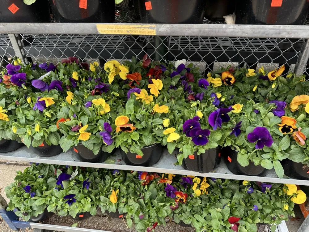 Top-rated landscape installation in Lynbrook, NY - Moises Amaya Landscaping