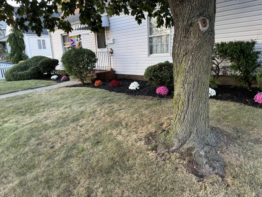 Affordable landscape installation for outdoor upgrades in Lynbrook, NY by Moises Amaya Landscaping