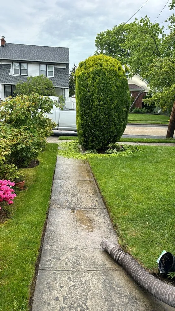 Reliable yard cleanup service for outdoor upgrades across Lynbrook, NY - Moises Amaya Landscaping