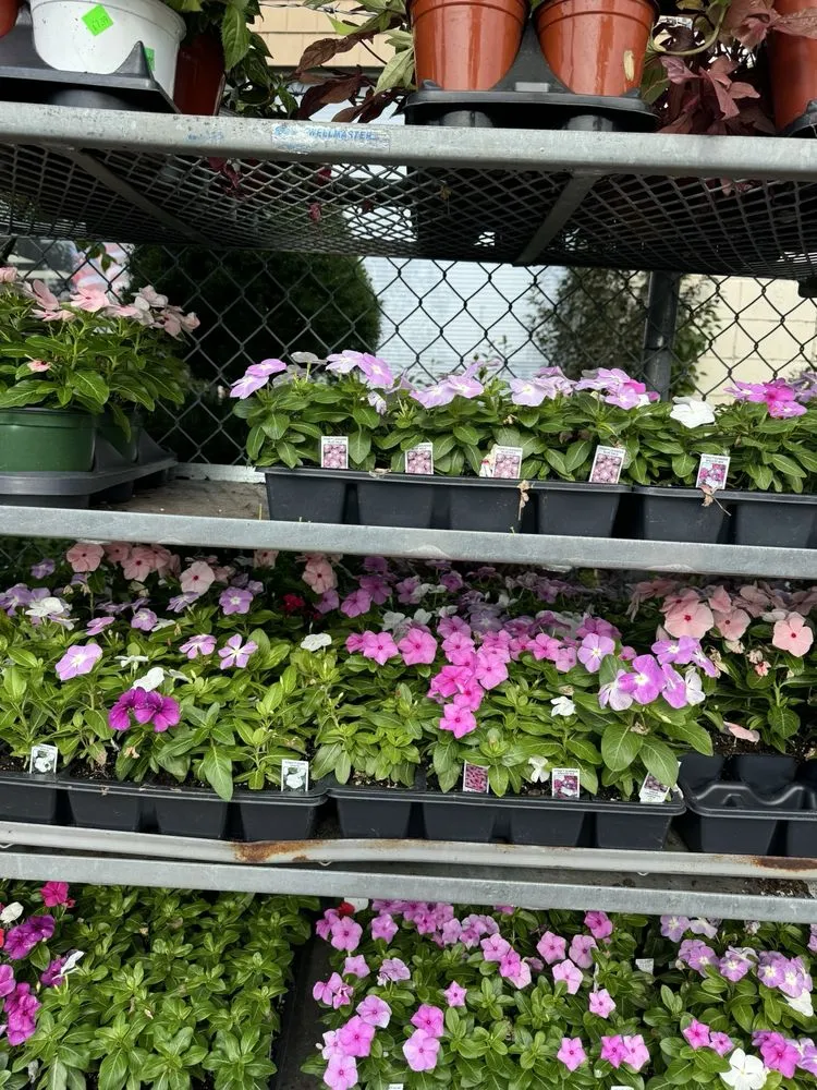 Reliable yard cleanup service experts serving Lynbrook, NY - Moises Amaya Landscaping