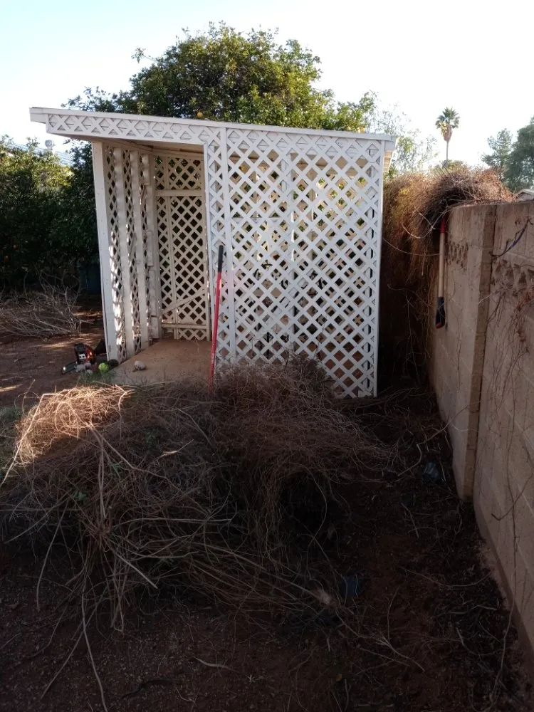 Local landscape installation for homes across Casa Grande, AZ - Moises Garden & Landscape Services