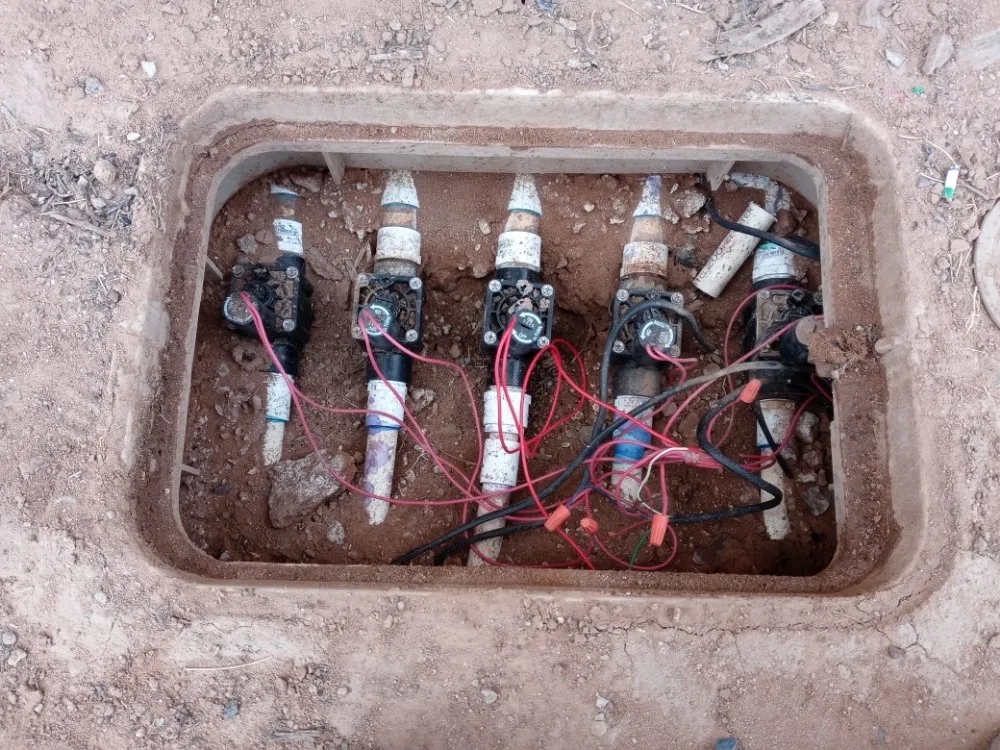 Local yard cleanup service with custom design in Casa Grande, AZ by Moises Garden & Landscape Services