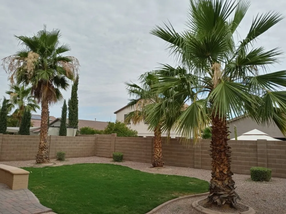 Custom landscape installation in Casa Grande, AZ by Moises Garden & Landscape Services