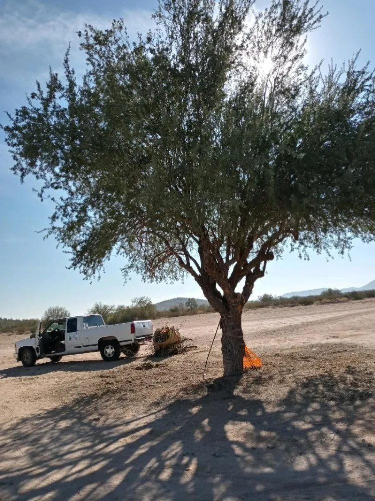 Top-rated landscape installation for year-round maintenance across Casa Grande, AZ - Moises Garden & Landscape Services