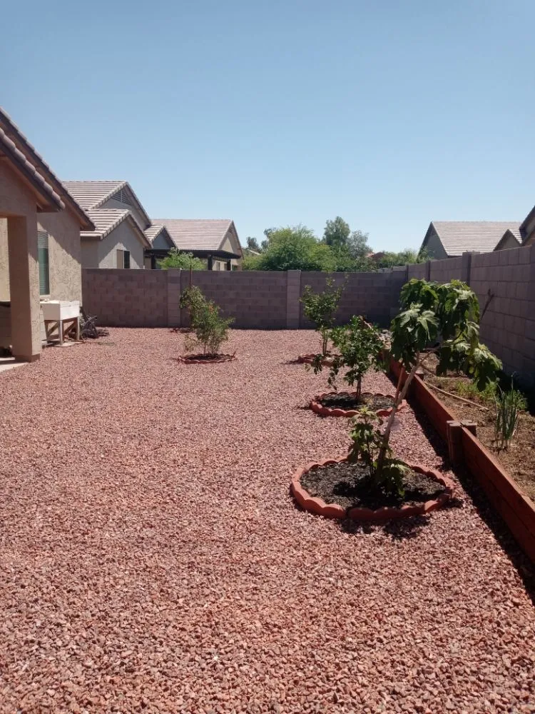 Affordable landscape installation in Casa Grande, AZ - Moises Garden & Landscape Services