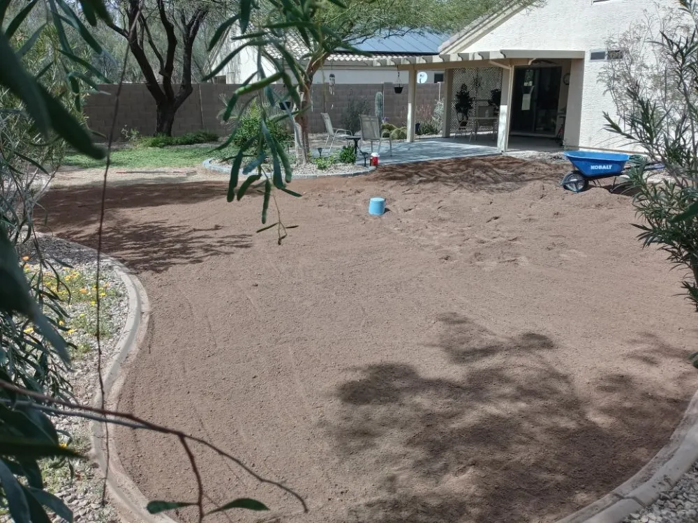 Affordable yard cleanup service for homes across Casa Grande, AZ - Moises Garden & Landscape Services