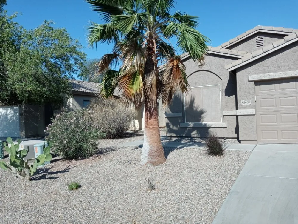 Affordable outdoor landscaping in Casa Grande, AZ - Moises Garden & Landscape Services