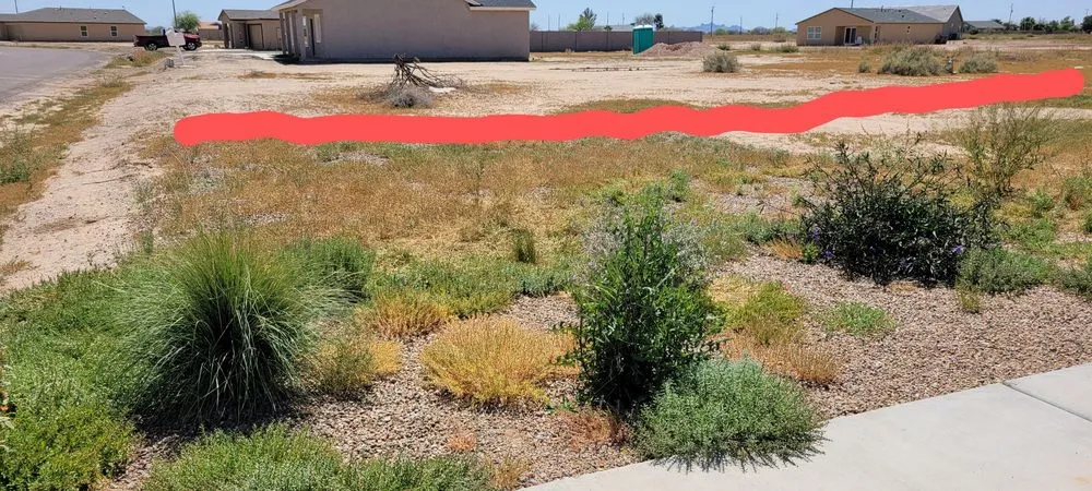 Local lawn mowing service for residential properties across Casa Grande, AZ - Moises Garden & Landscape Services