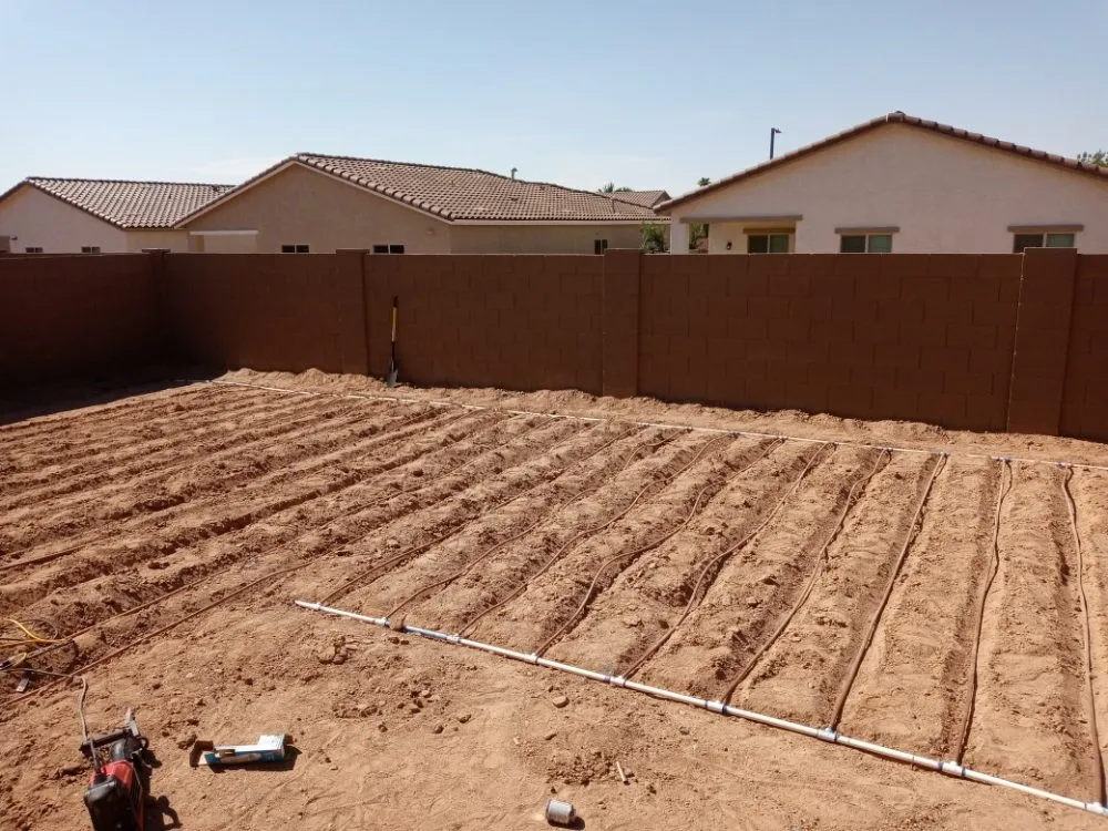Reliable residential landscaping in Casa Grande, AZ by Moises Garden & Landscape Services