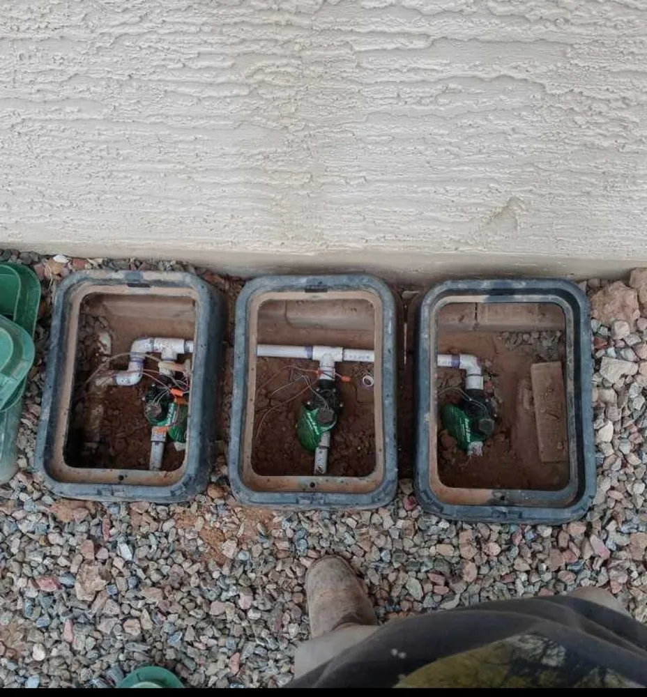 Local yard maintenance experts serving Casa Grande, AZ - Moises Garden & Landscape Services