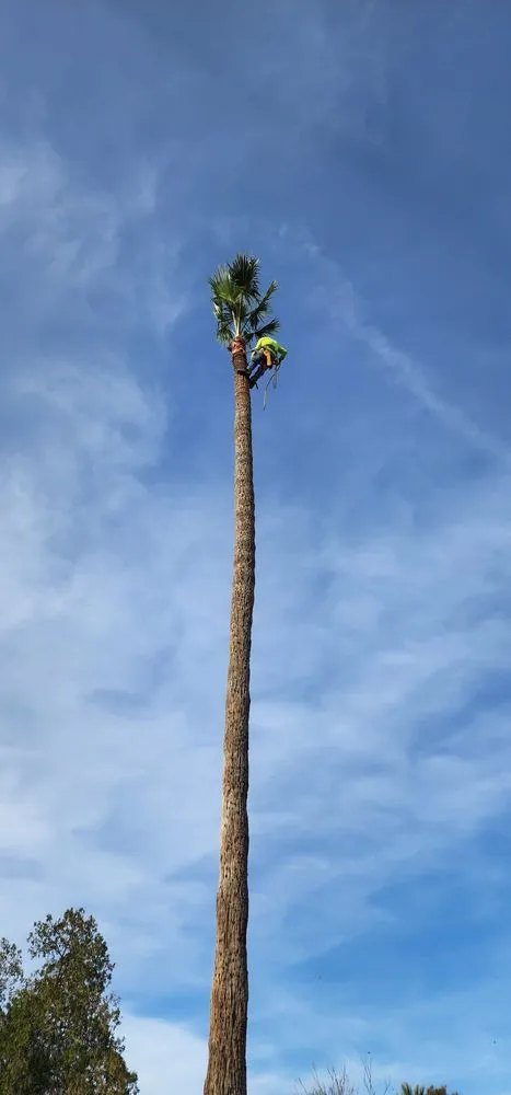 Local outdoor landscaping experts serving Phoenix, AZ - Moises Hilario Trujillo Landscaping