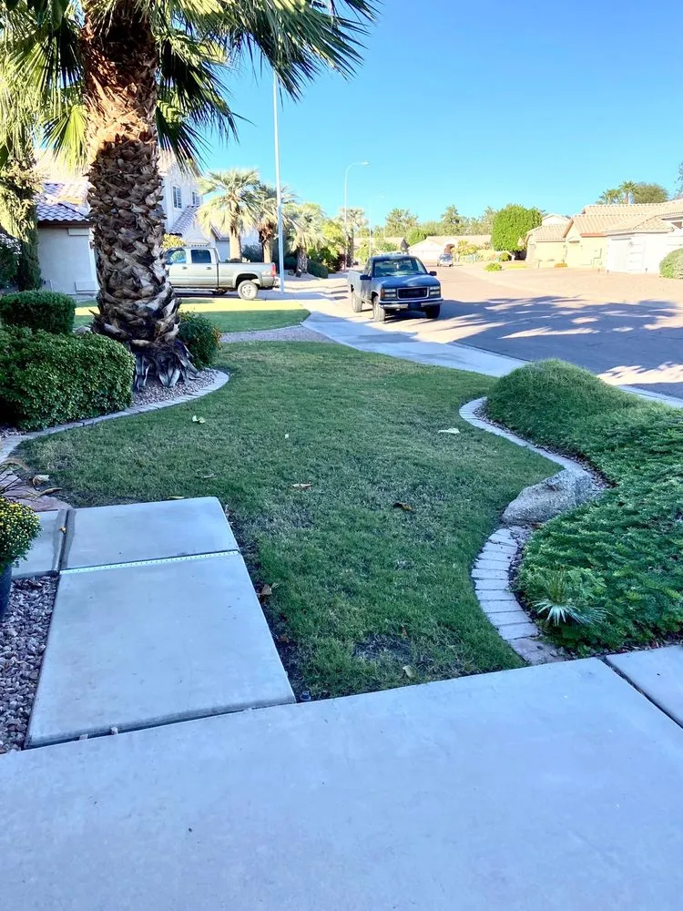 Professional yard cleanup service experts serving Phoenix, AZ - Moises Hilario Trujillo Landscaping