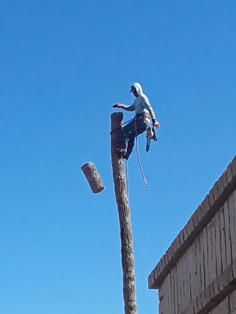 Local lawn mowing service with custom design in Phoenix, AZ by Moises Hilario Trujillo Landscaping