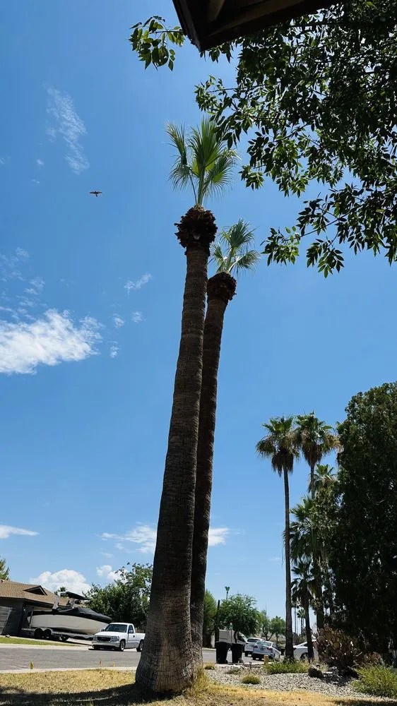 Trusted outdoor landscaping near you across Phoenix, AZ - Moises Hilario Trujillo Landscaping