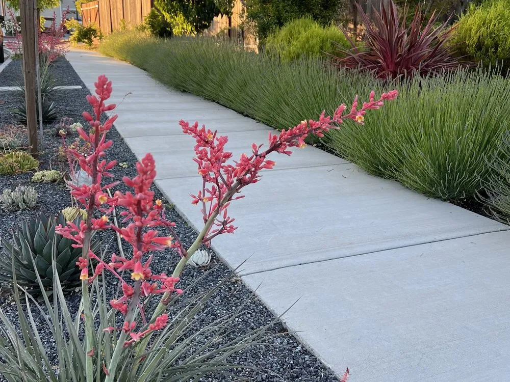 Trusted garden landscaping experts serving Santa Rosa, CA - Moises L Landscape
