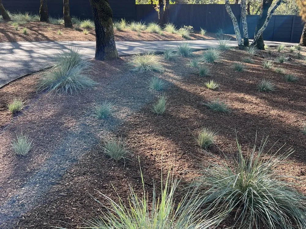 Custom landscaping services in Santa Rosa, CA by Moises L Landscape