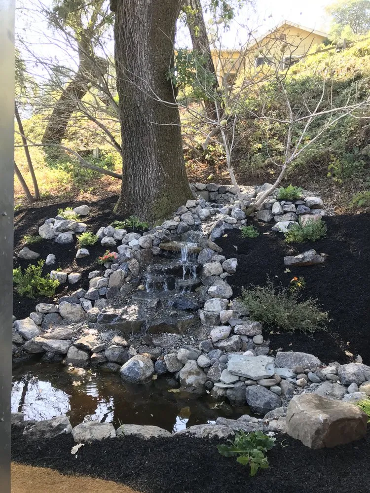 Affordable yard maintenance for beautiful yards in Santa Rosa, CA by Moises L Landscape