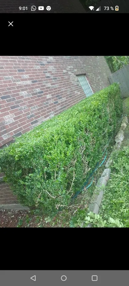 Top-rated landscape design for outdoor upgrades across Webster, TX - Moises Velasquez