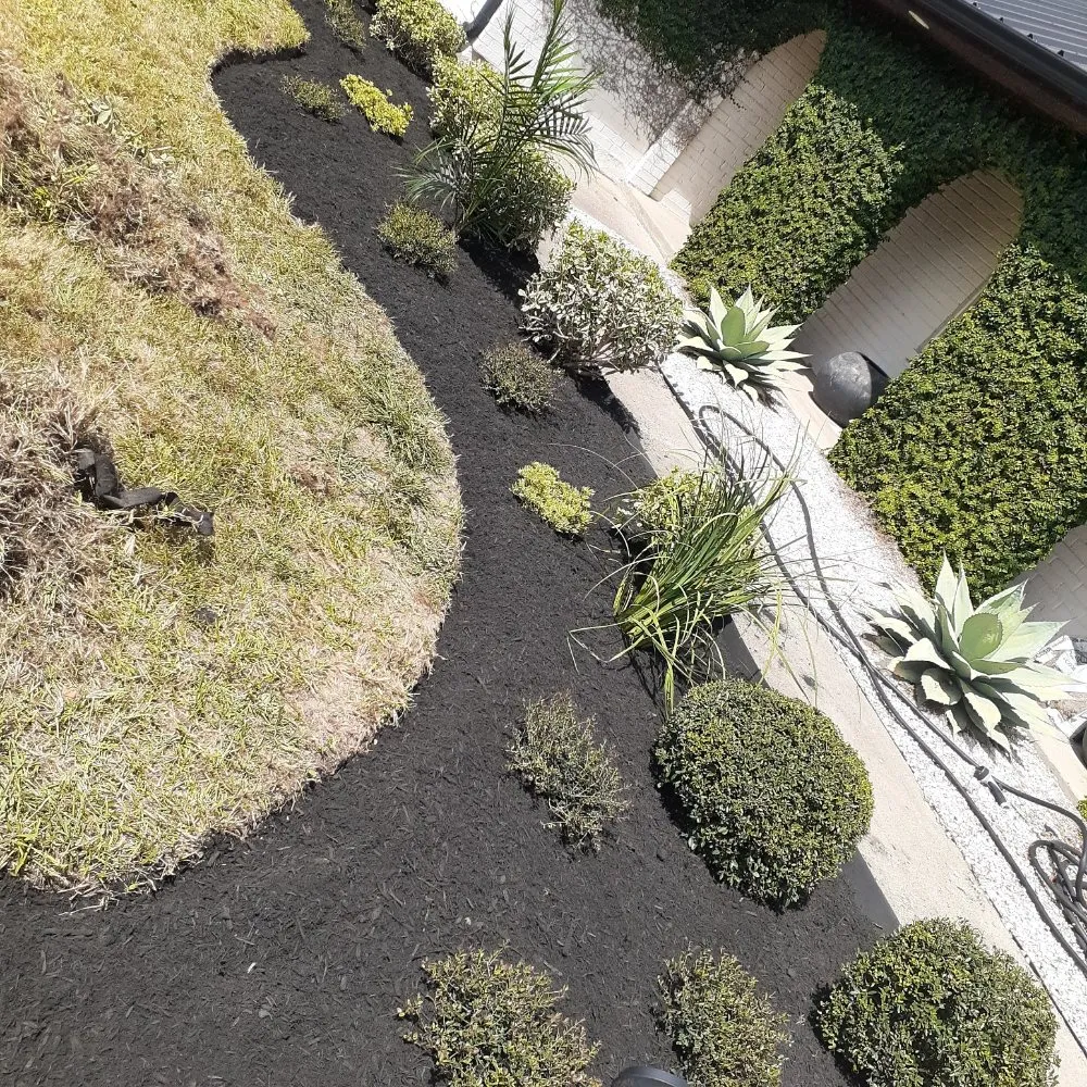 Custom garden landscaping for beautiful yards across Webster, TX - Moises Velasquez