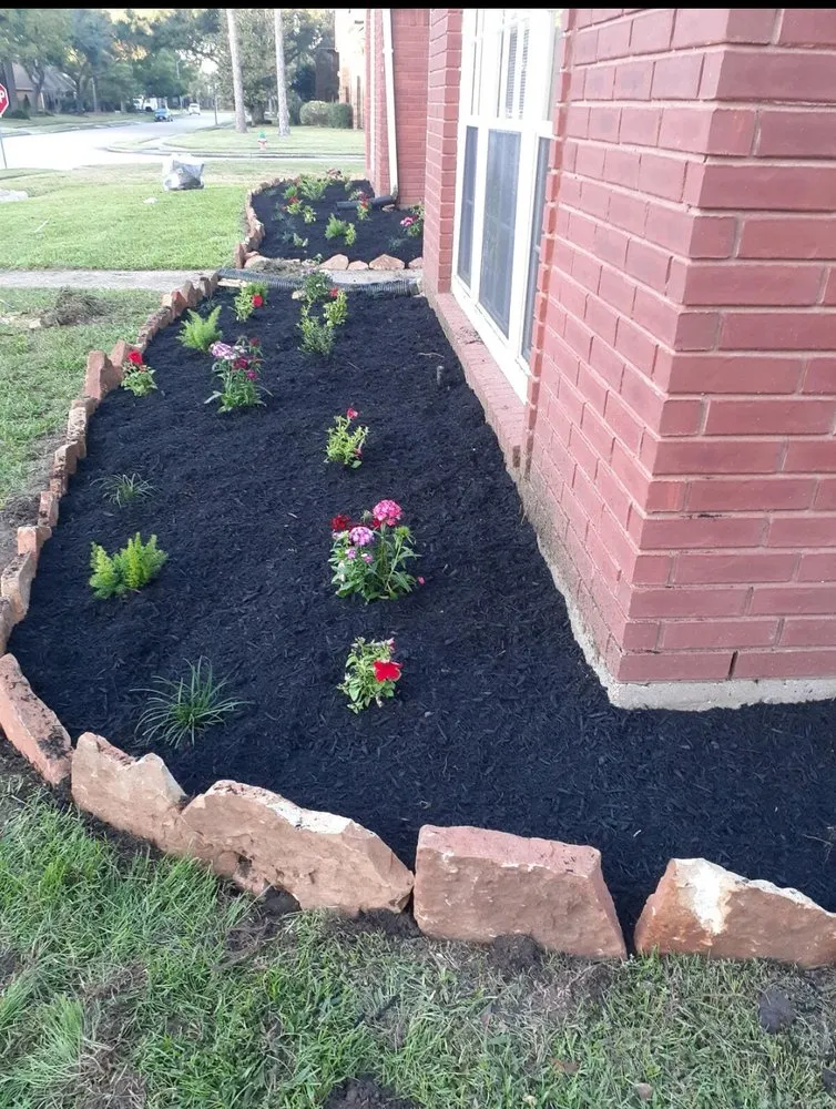 Professional landscaping services experts serving Webster, TX - Moises Velasquez