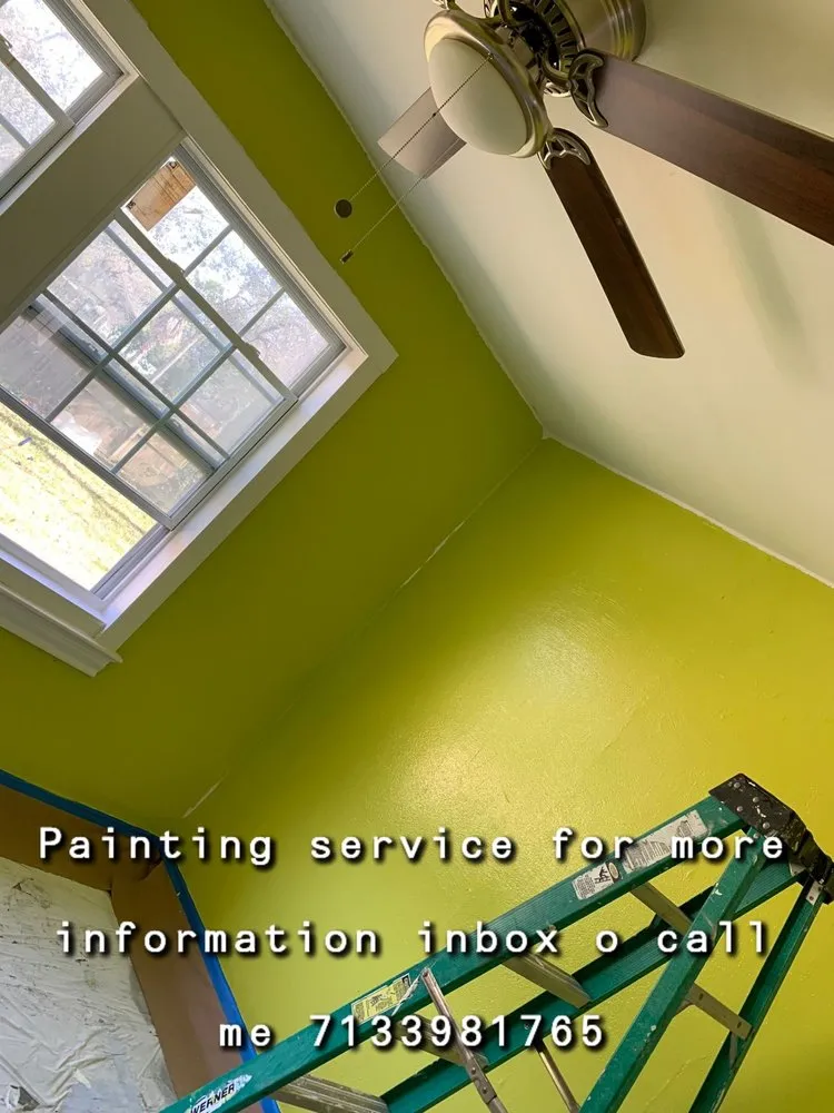 Affordable yard cleanup service for year-round maintenance in Webster, TX by Moises Velasquez