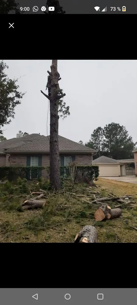 Trusted yard maintenance near you across Webster, TX - Moises Velasquez