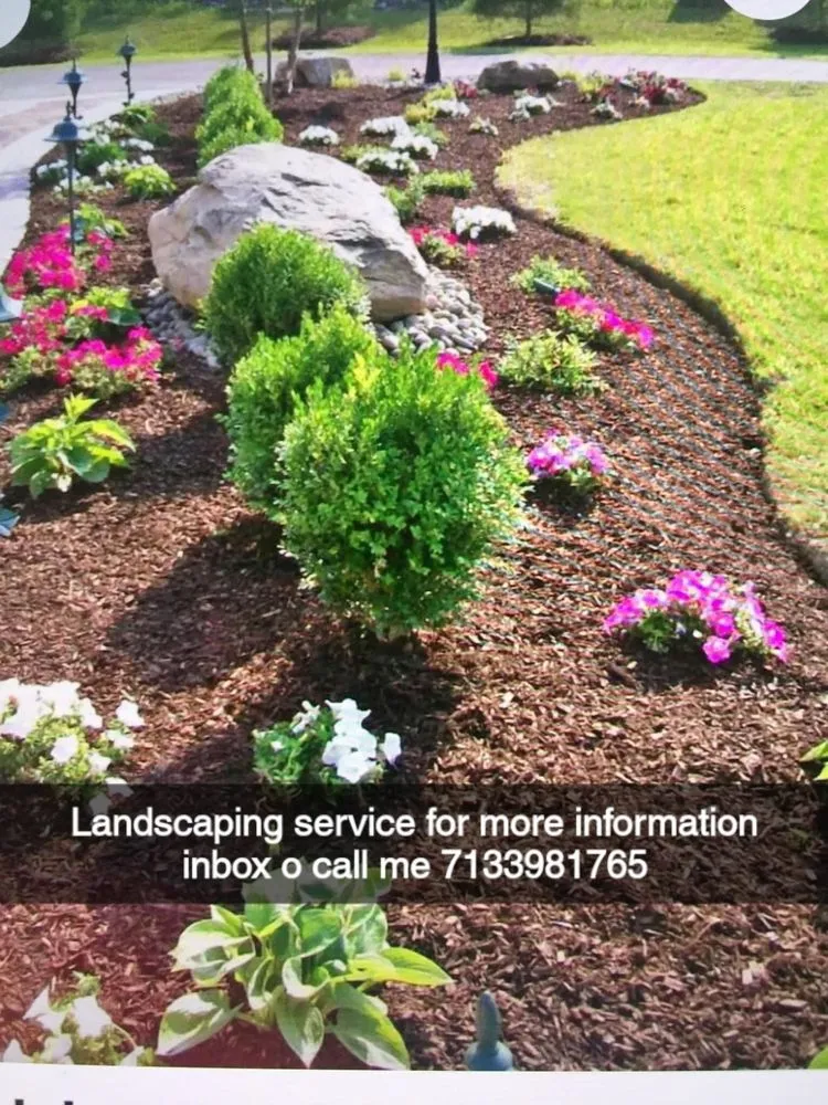 Trusted outdoor landscaping near you in Webster, TX by Moises Velasquez