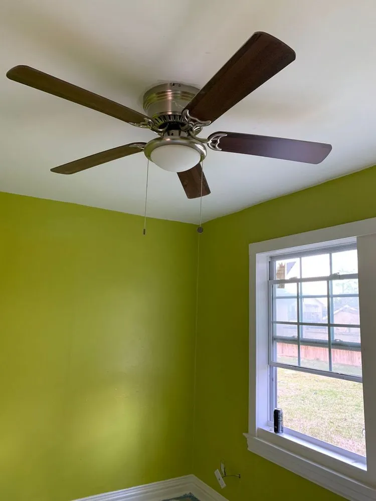 Reliable yard cleanup service experts serving Webster, TX - Moises Velasquez