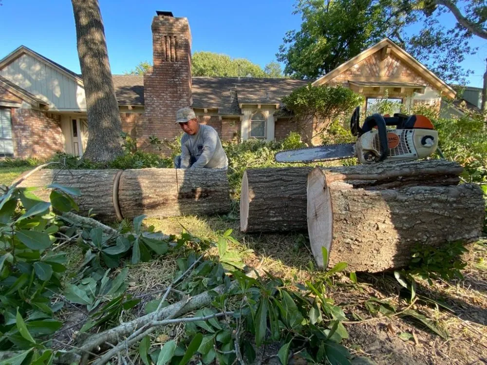 Professional outdoor landscaping in Webster, TX - Moises Velasquez