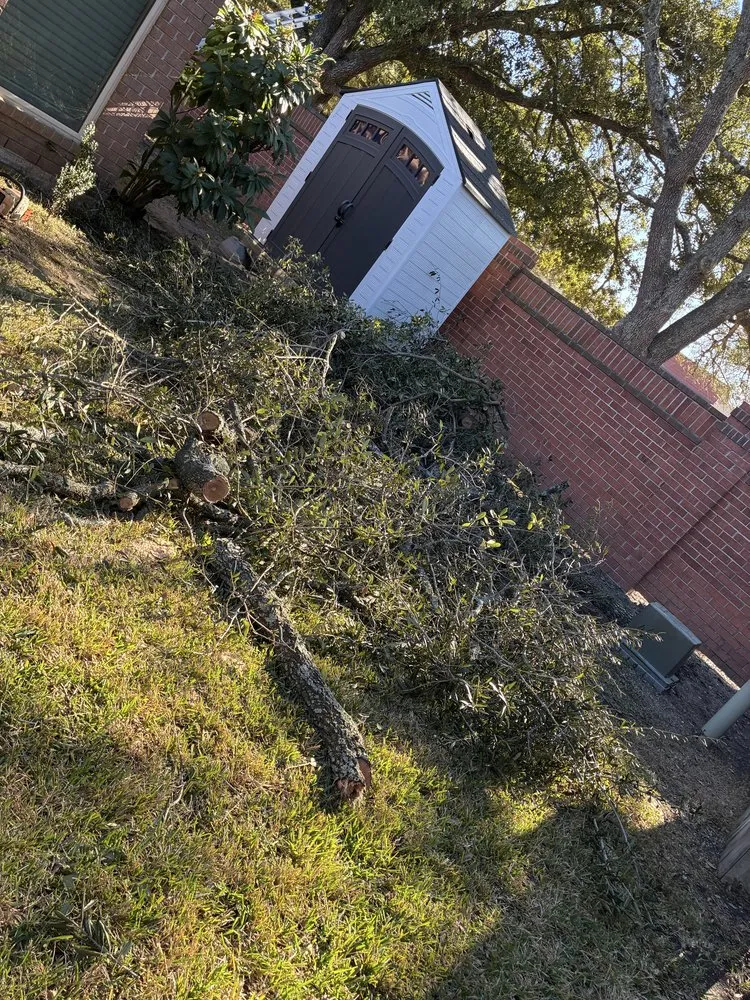 Local residential landscaping for beautiful yards across Webster, TX - Moises Velasquez