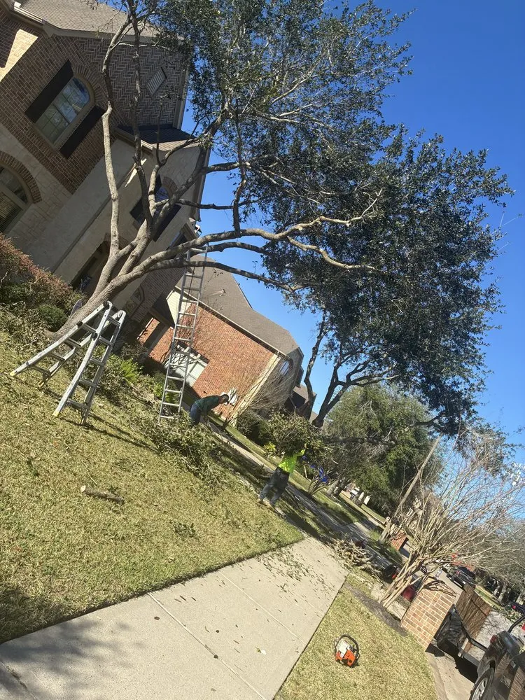 Reliable landscape installation for homes across Webster, TX - Moises Velasquez