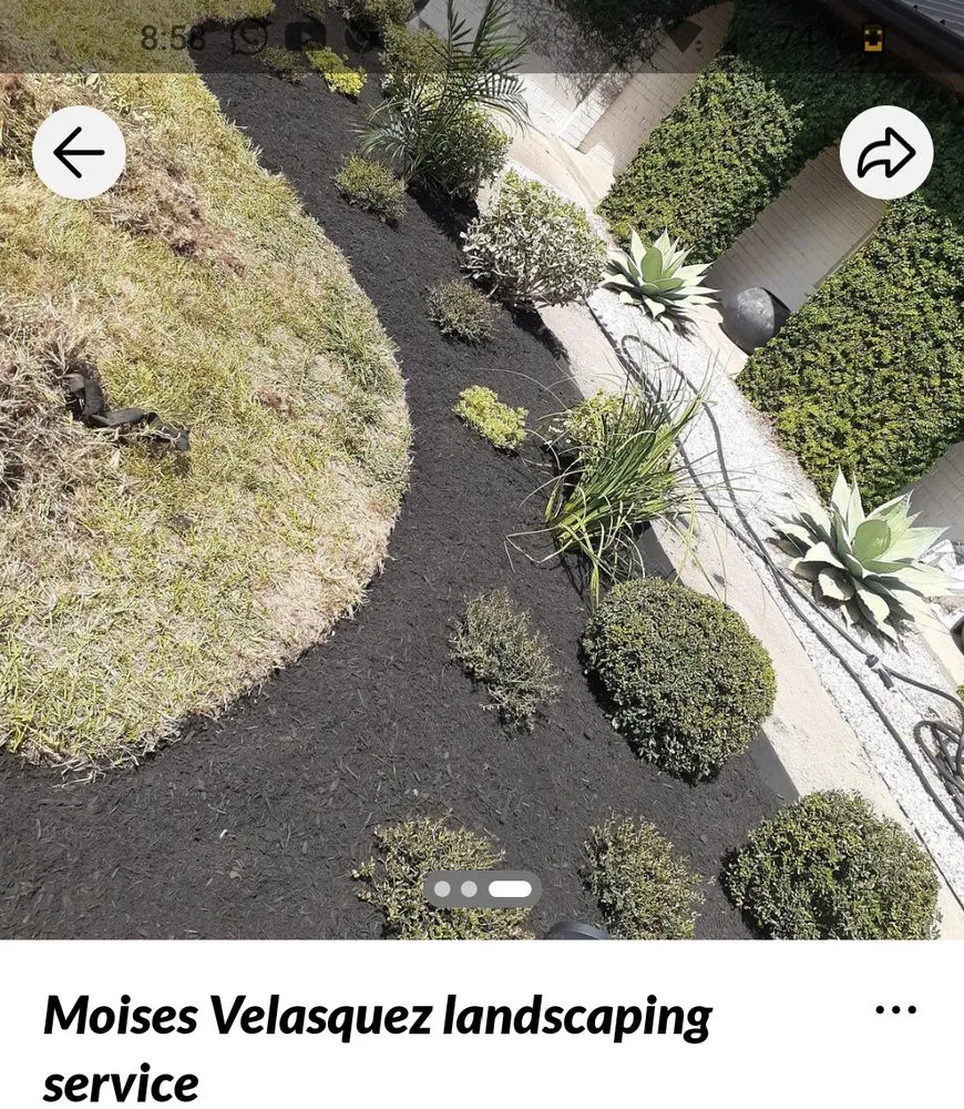 Professional landscape design in Webster, TX by Moises Velasquez