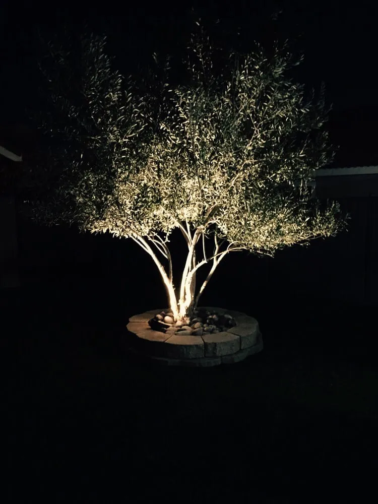 Expert landscape design experts serving Apple Valley, CA - Mojave Curb and Turf