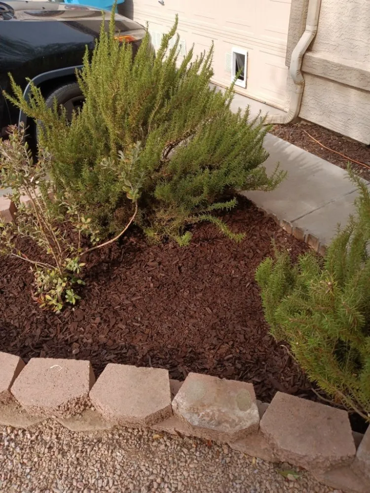 Reliable outdoor landscaping experts serving Phoenix, AZ - Mojave Green Landscape