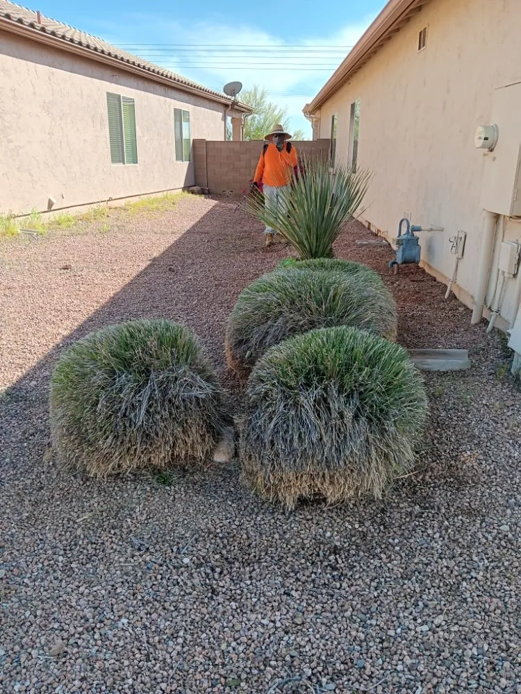 Trusted landscape design in Phoenix, AZ by Mojave Green Landscape