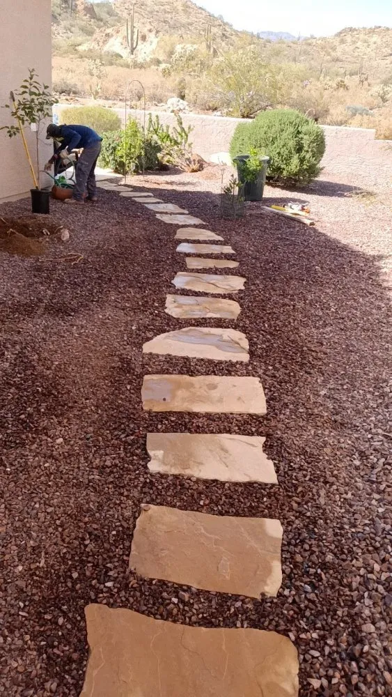 Expert landscape installation for beautiful yards across Phoenix, AZ - Mojave Green Landscape