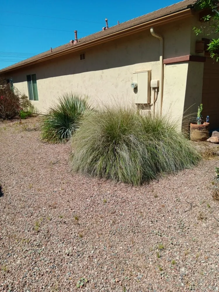 Affordable lawn care service experts serving Phoenix, AZ - Mojave Green Landscape