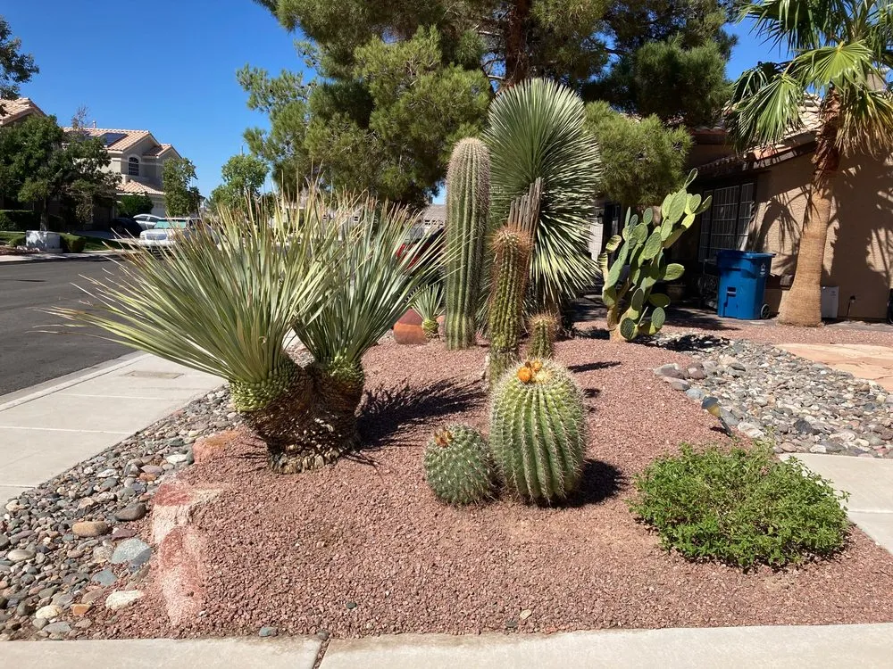 Custom yard cleanup service in Las Vegas, NV - Mojave Land Maintenance