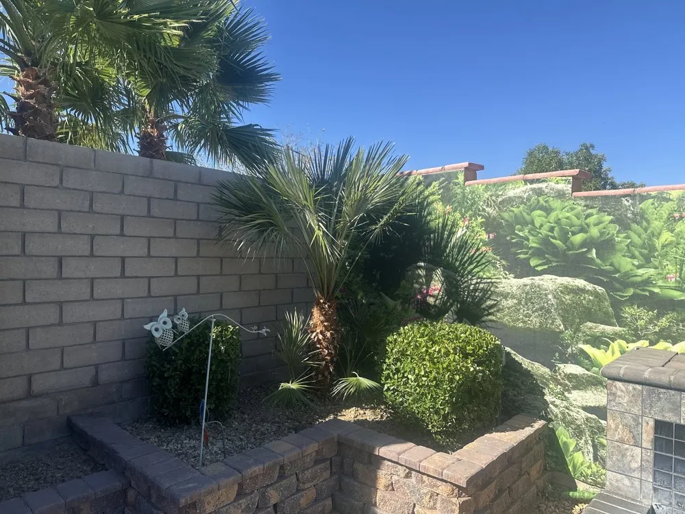Reliable yard cleanup service in Las Vegas, NV by Mojave Land Maintenance