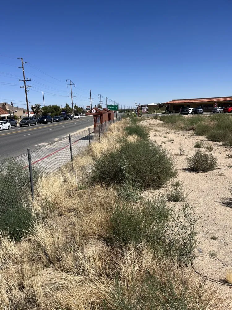 Local outdoor landscaping experts serving Joshua Tree, CA - Mojave Landscaping