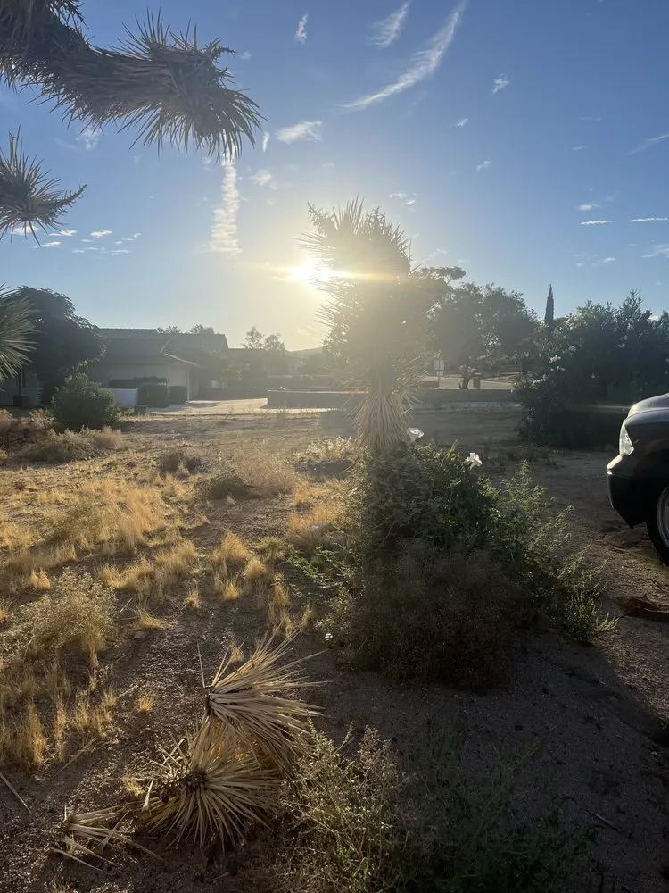 Custom garden landscaping experts serving Joshua Tree, CA - Mojave Landscaping