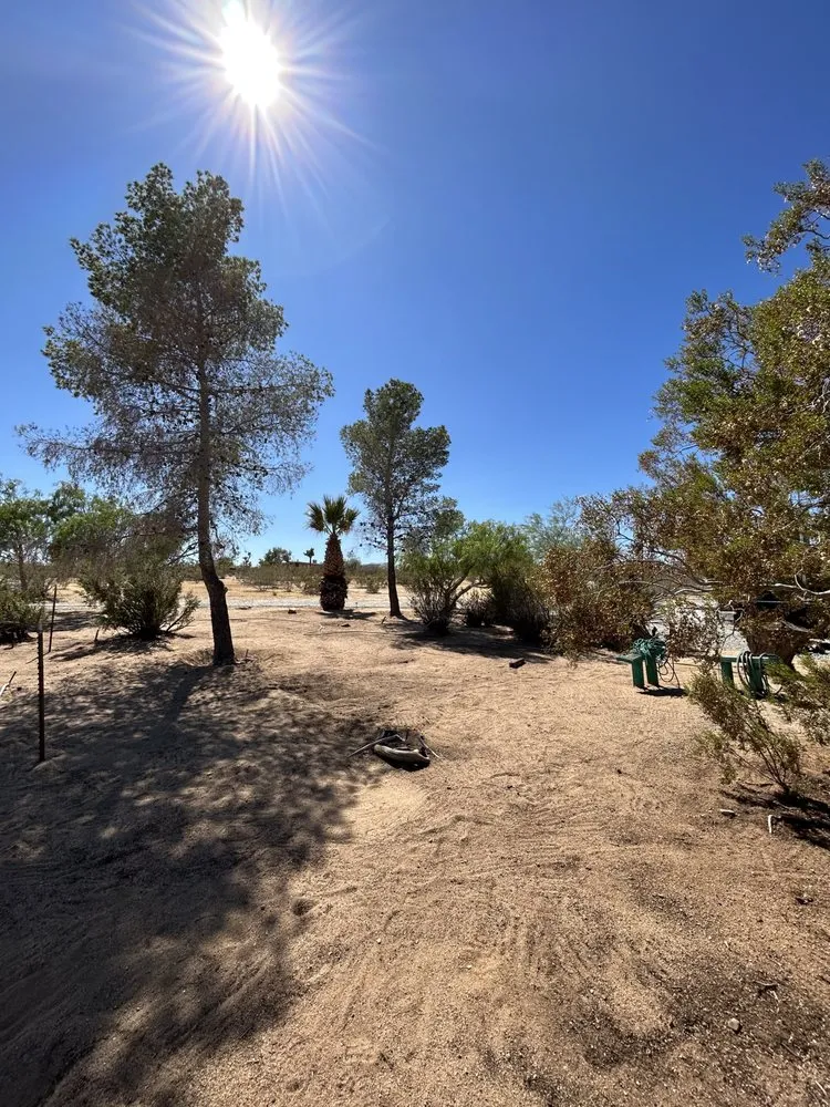 Trusted outdoor landscaping experts serving Joshua Tree, CA - Mojave Landscaping