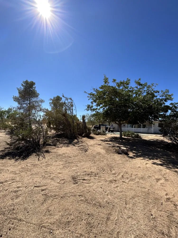 Custom yard cleanup service for year-round maintenance in Joshua Tree, CA by Mojave Landscaping