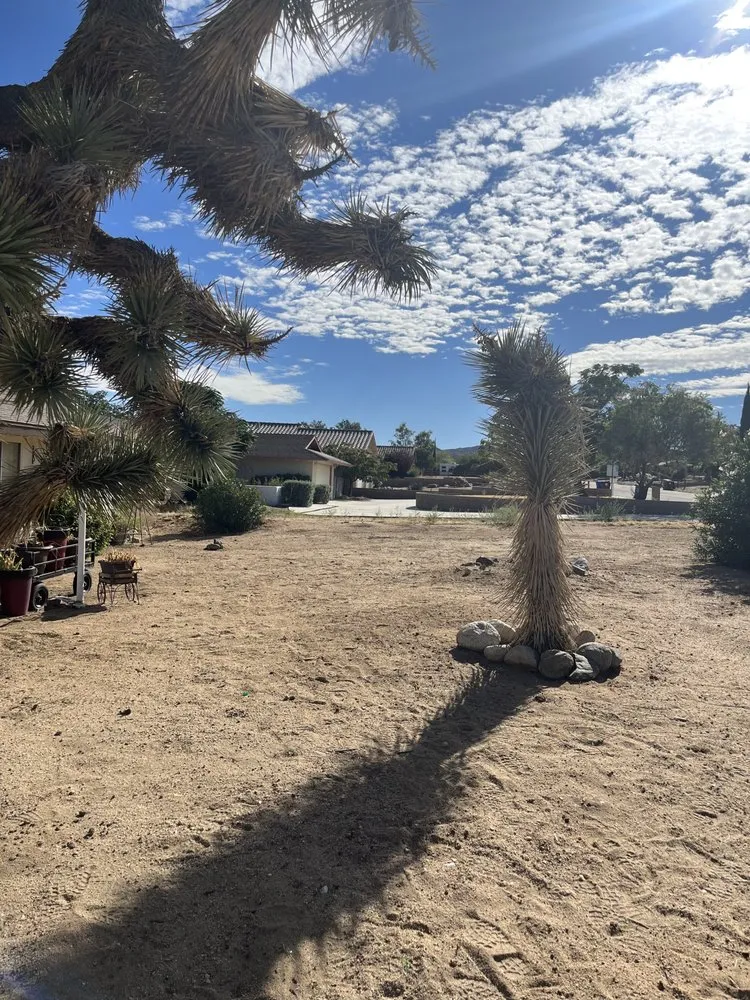Affordable lawn care service experts serving Joshua Tree, CA - Mojave Landscaping