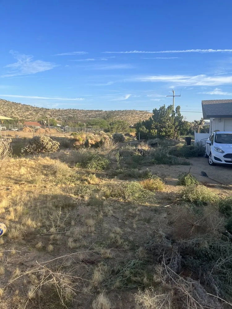 Expert outdoor landscaping for residential properties across Joshua Tree, CA - Mojave Landscaping