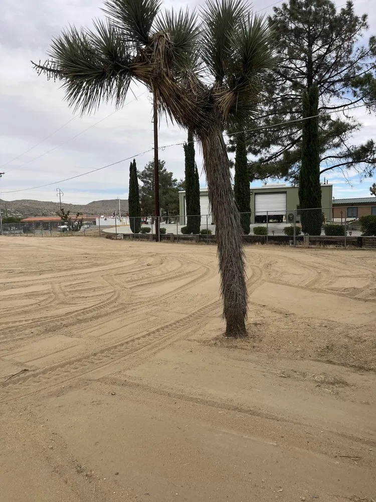 Custom landscape design for beautiful yards across Joshua Tree, CA - Mojave Landscaping